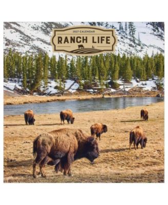 Настенный календарь TF Publishing Paper Goods 2027 Ranch Life