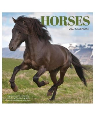 TF Publishing Paper Goods 2027 Horses Wall Calendar