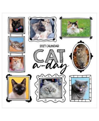 TF Publishing Paper Goods 2027 Cat-A-Day Wall Calendar