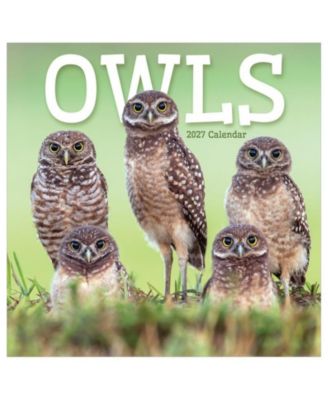 TF Publishing Paper Goods 2027 Owls Wall Calendar