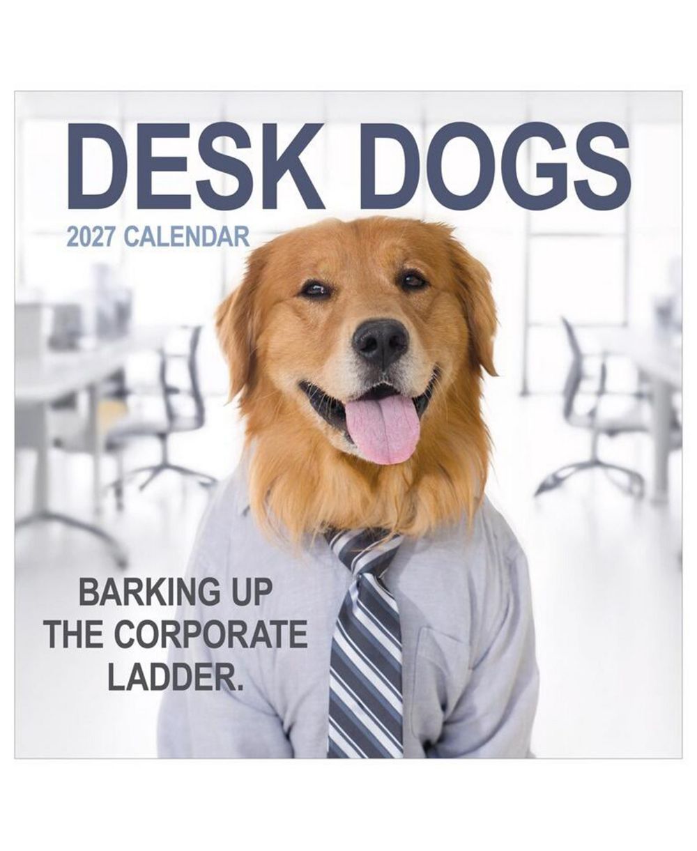 Настенный календарь TF Publishing Paper Goods 2027 Desk Dogs