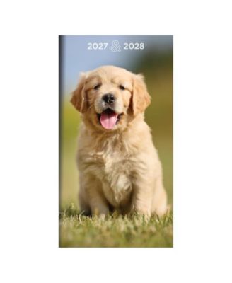 TF Publishing Paper Goods 2027-2028 Dog Small Monthly Pocket Planner