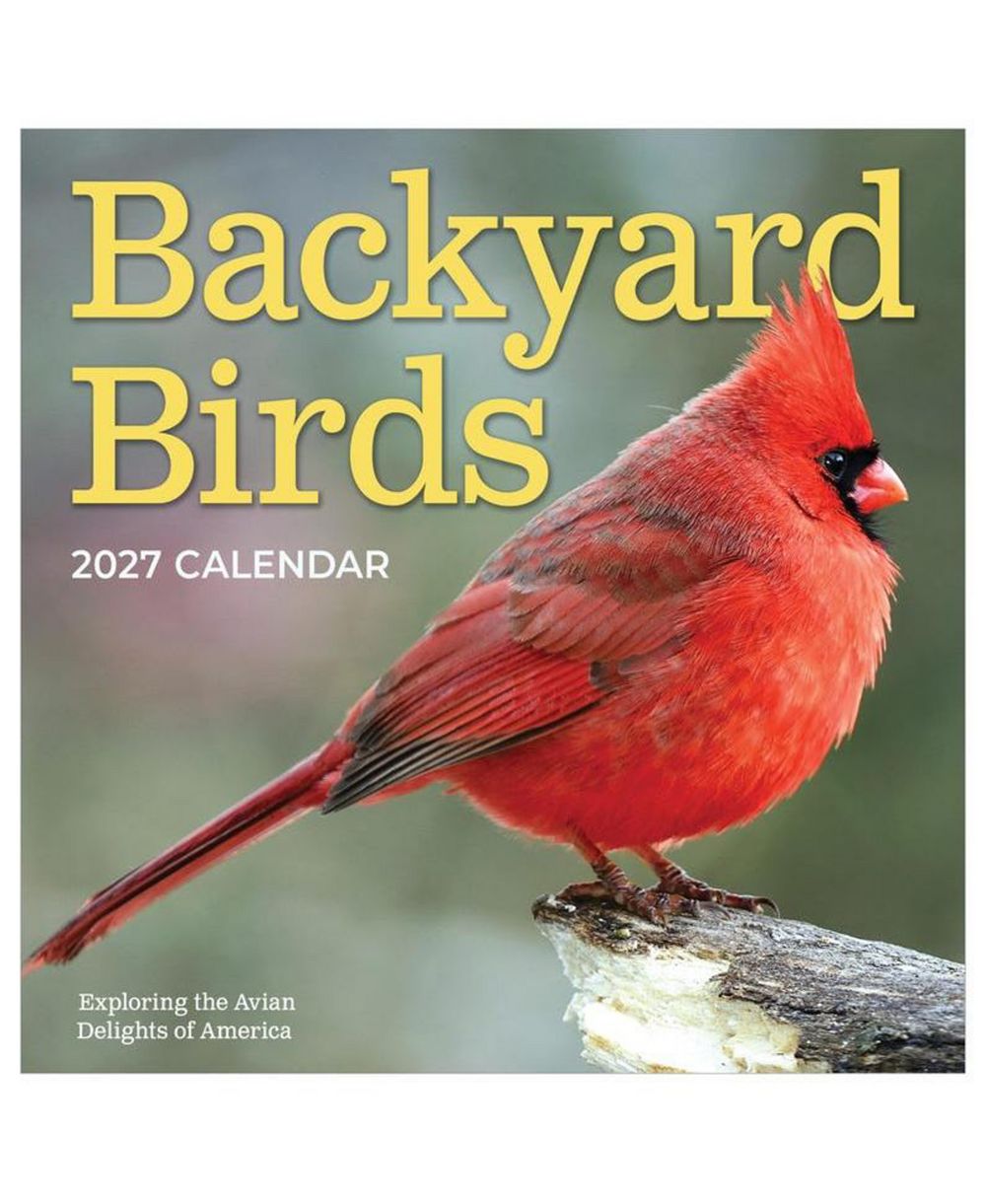 TF Publishing Календарь Backyard Birds 2027