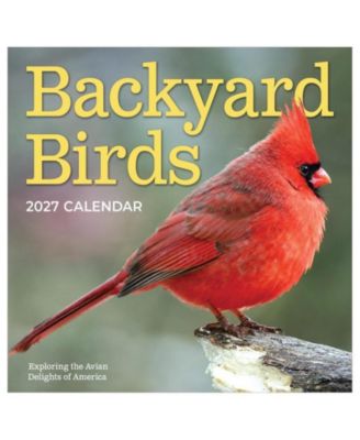 TF Publishing Календарь Backyard Birds 2027