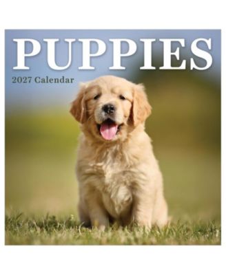 TF Publishing Paper Goods 2027 Puppies Mini Calendar