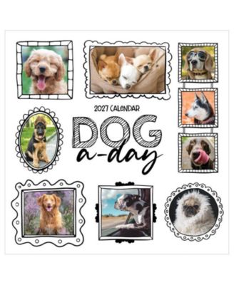 TF Publishing Paper Goods 2027 Dog-A-Day Wall Calendar