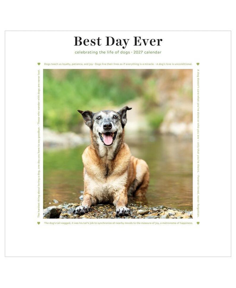 TF Publishing Paper Goods мини-календарь 2027 Best Day Ever Dogs
