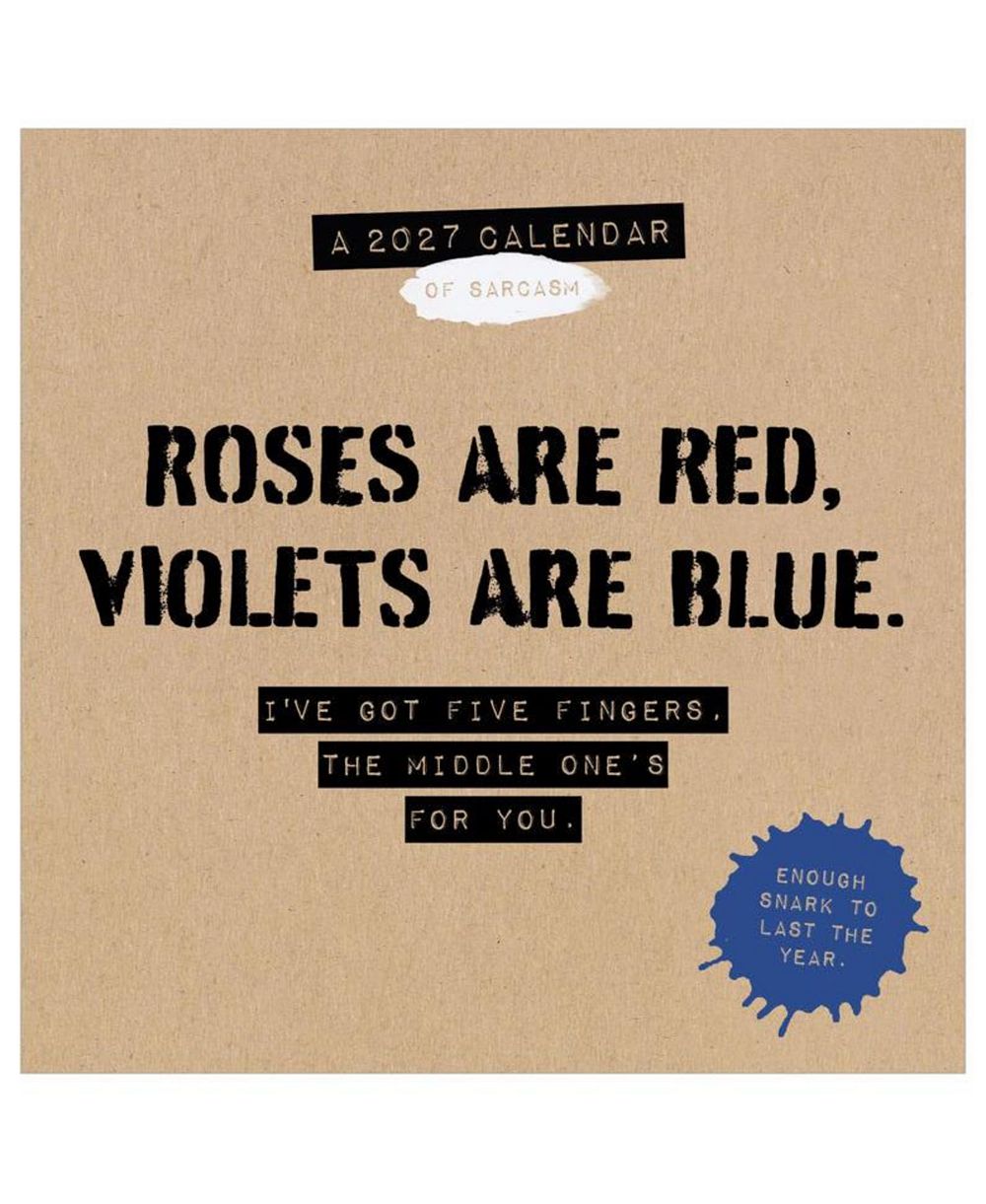TF Publishing Paper Goods 2027 Anti-Affirmations Wall Calendar