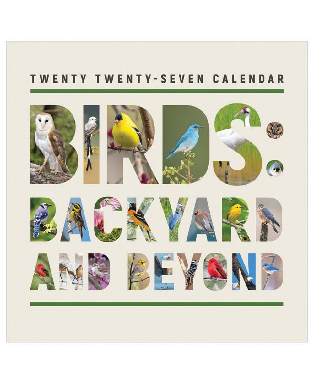 TF Publishing Paper Goods 2027 Birds Backyard and Beyond Wall Calendar