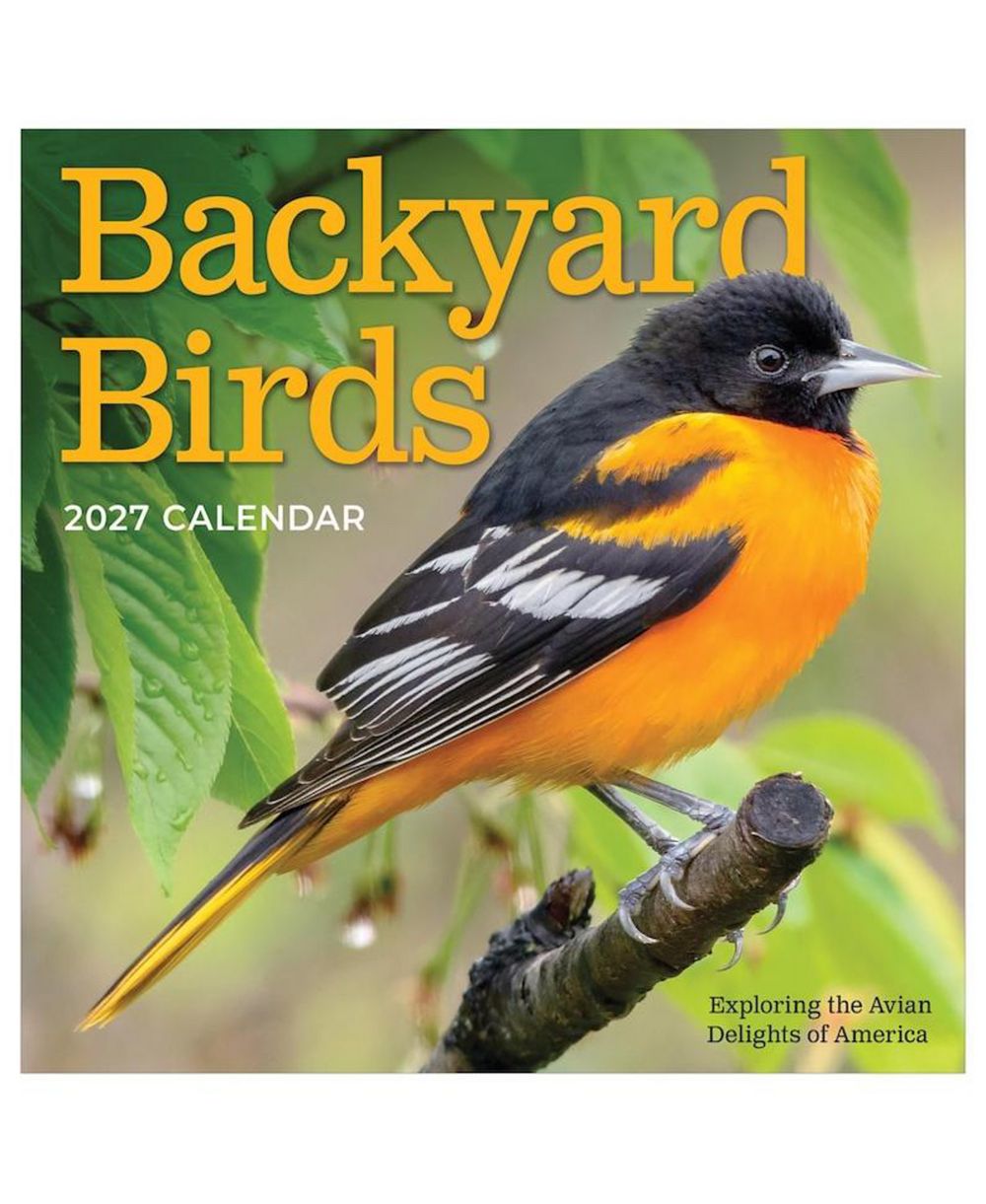 Мини-календарь TF Publishing Paper Goods 2027 Backyard Birds