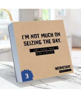TF Publishing Paper Goods 2027 Anti Affirmations/Daily Sarcasm Daily Desktop Calendar