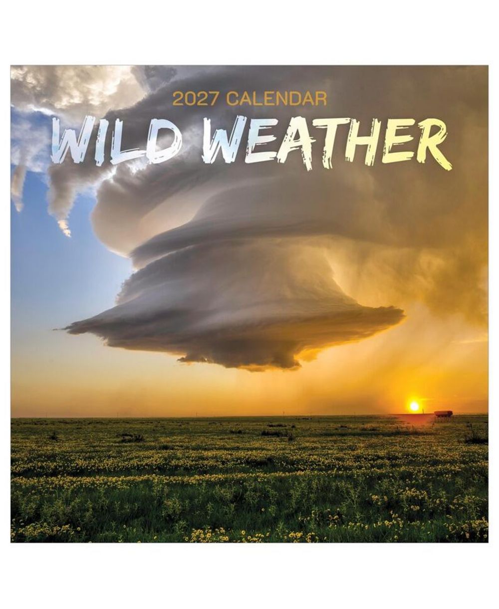 TF Publishing Paper Goods Настенный календарь 2027 Wild Weather