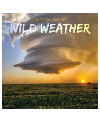TF Publishing Paper Goods Настенный календарь 2027 Wild Weather
