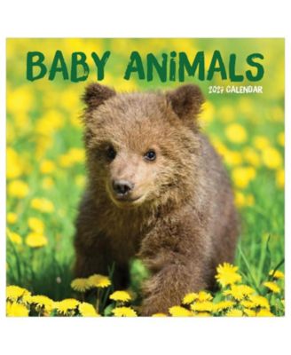 TF Publishing Paper Goods 2027 Baby Animals Wall Calendar