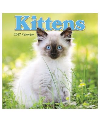 TF Publishing Paper Goods 2027 Kittens Mini Calendar