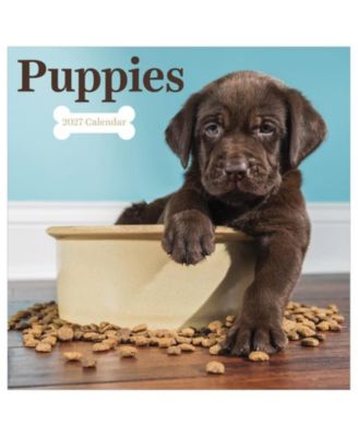 TF Publishing Paper Goods 2027 Puppies Wall Calendar