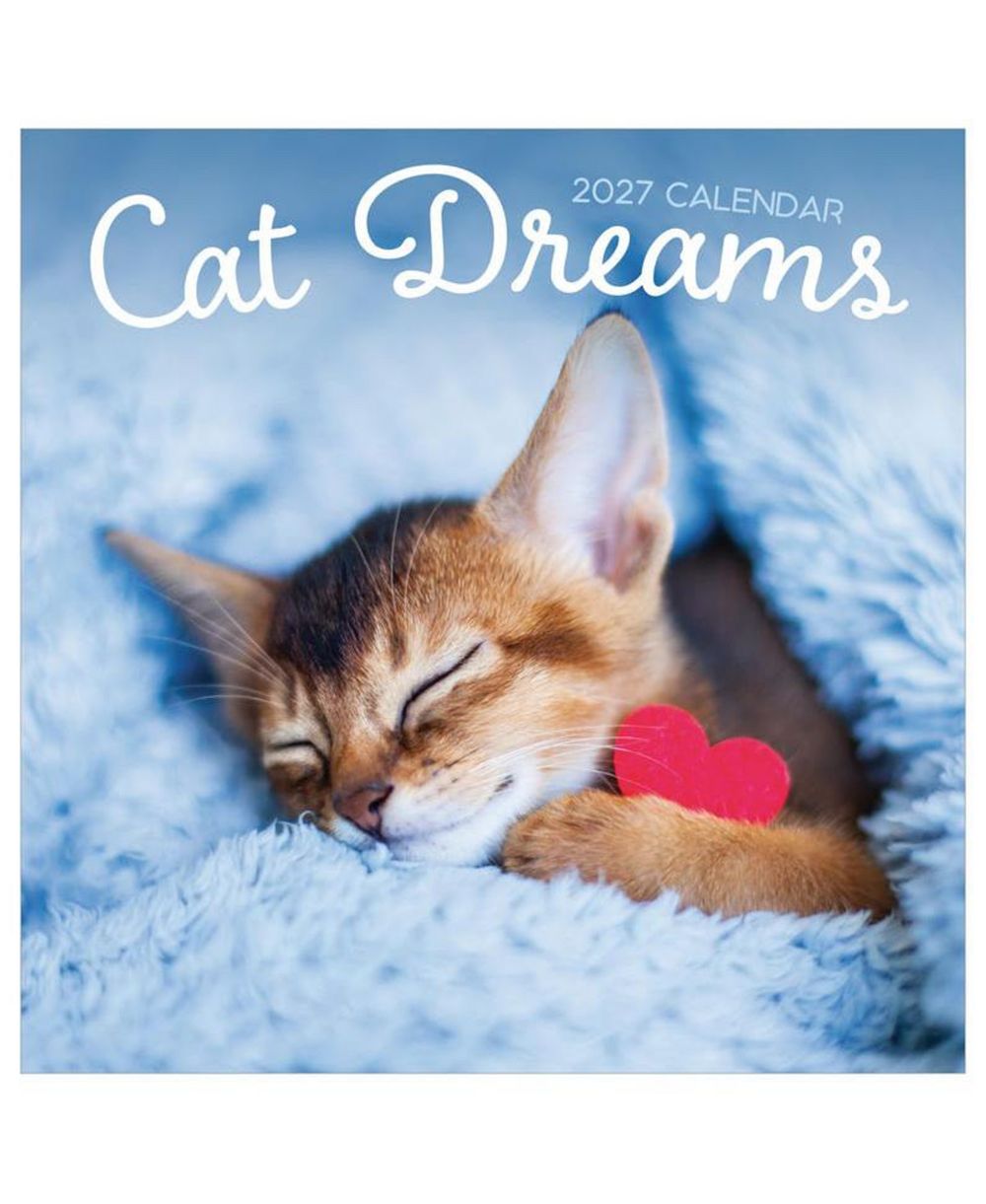TF Publishing Paper Goods 2027 Cat Dreams Wall Calendar