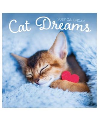 TF Publishing Paper Goods Настенный календарь 2027 Cat Dreams