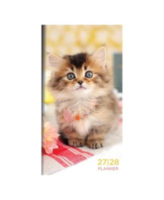Ежемесячный карманный планер TF Publishing Paper Goods 2027-2028 Kitten