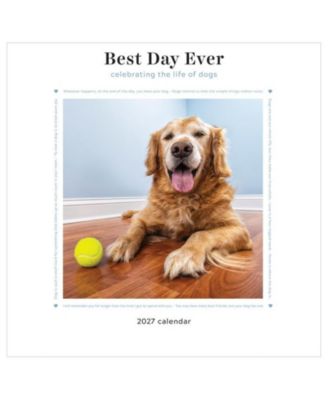 TF Publishing Paper Goods 2027 Best Day Ever Celebrating The Life of Dogs Wall Calendar