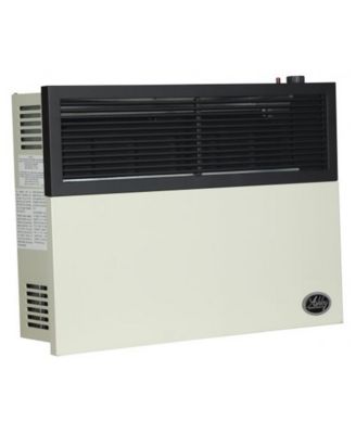 Ashley Hearth Products 17,000 BTU Direct Vent Liquid Buddy Propane Wall Mount Heater
