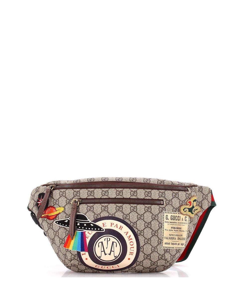 Сумка-пояс Gucci Courrier Zip