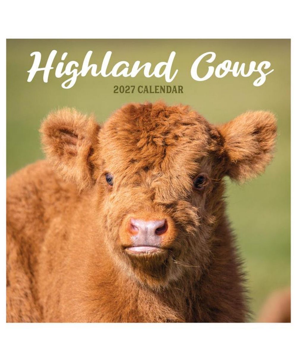 TF Publishing Paper Goods 2027 Highland Cows Wall Calendar