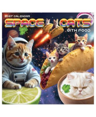 Настенный календарь TF Publishing Paper Goods 2027 Space Cats