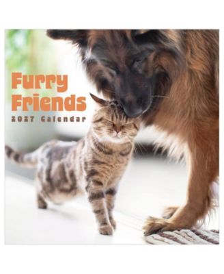 Настенный календарь TF Publishing Paper Goods 2027 Furry Friends