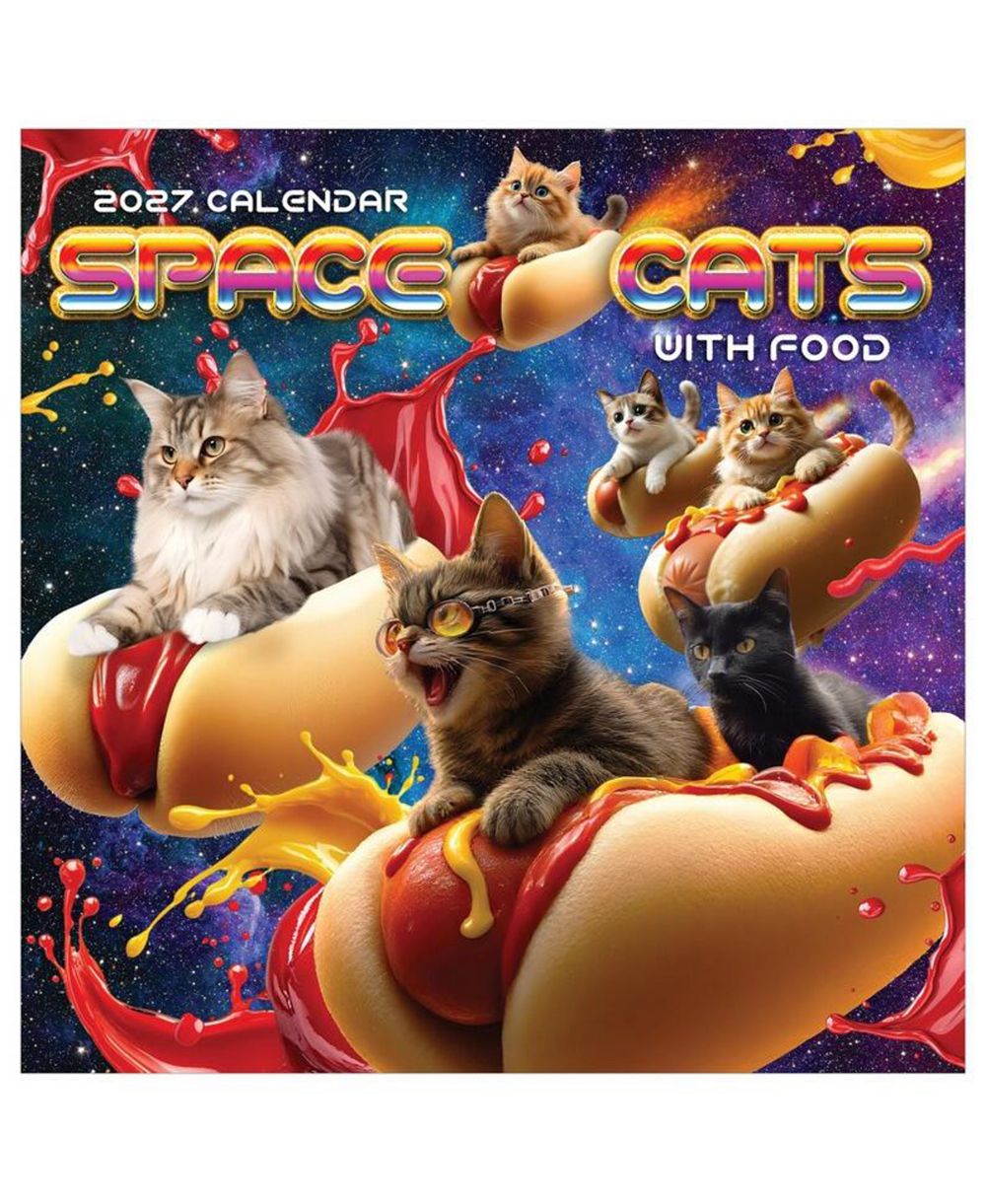 TF Publishing Paper Goods 2027 Space Cats Mini Calendar