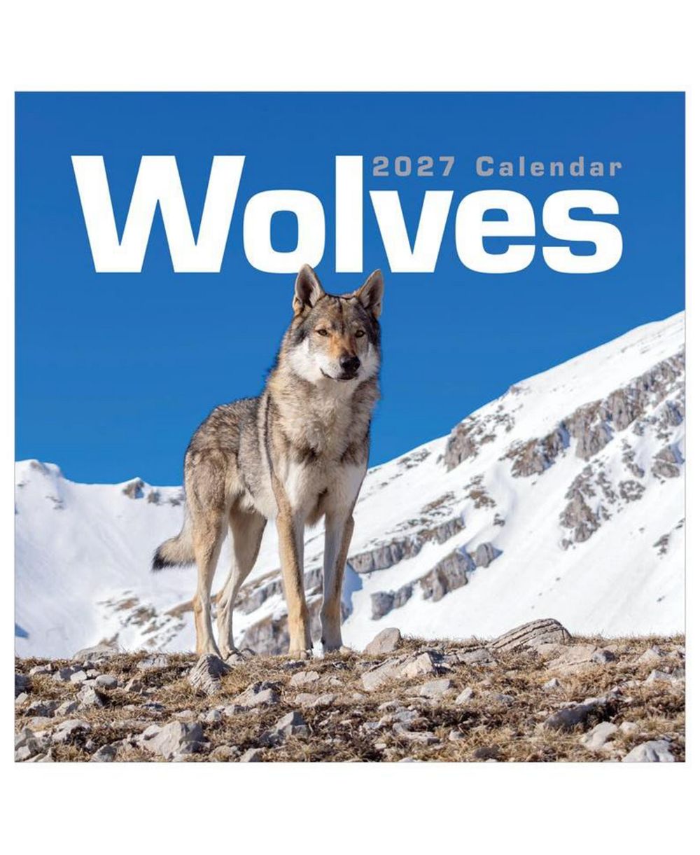 TF Publishing Paper Goods 2027 Wolves Wall Calendar