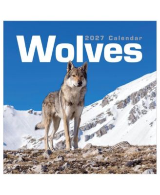 TF Publishing Paper Goods 2027 Wolves Wall Calendar