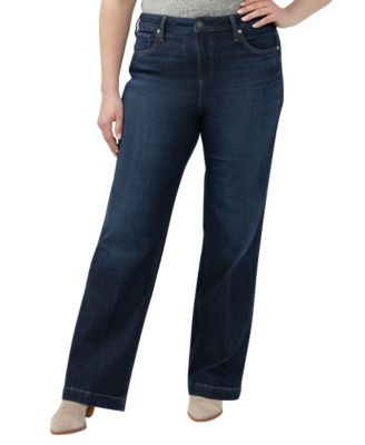 Женские джинсы Silver Jeans Co. Avery высокой посадки, большие размеры