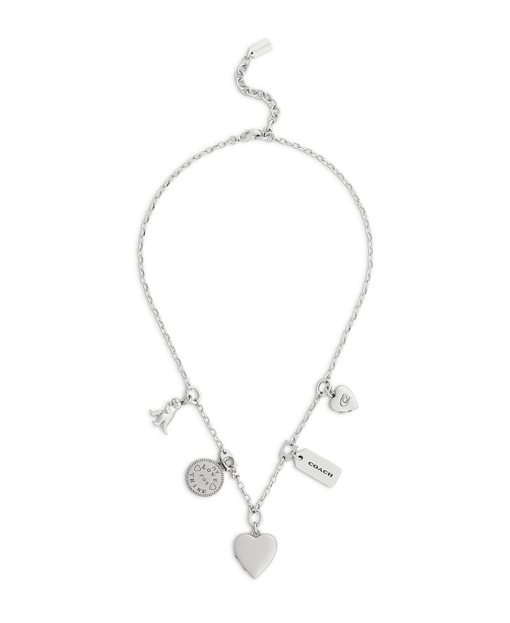 Серебряное ожерелье-биб COACH Heritage Charm