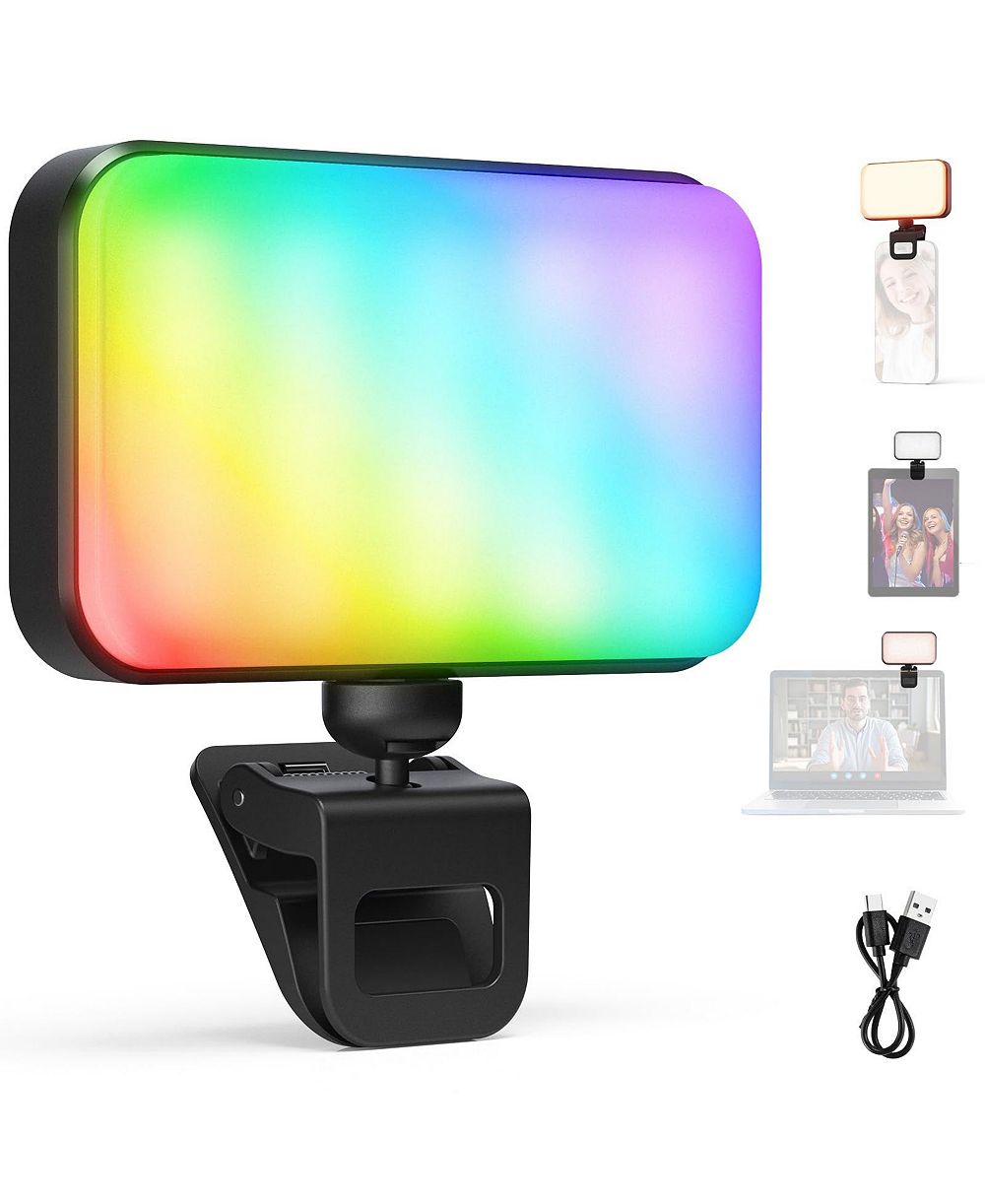 Neewer N6C Rechargeable 91 LED Portable Video Light for select iPhone models