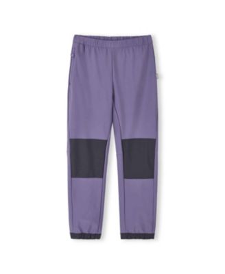 Misty violet