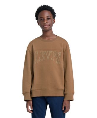 Levi's детские свитшоты с длинным рукавом и вышивкой, стиль Collegiate, 8-20