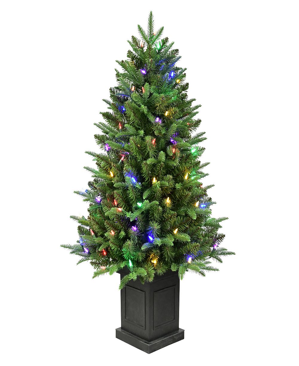 Puleo International 40" Предварительно освещенная ель Fraser Fir в горшке