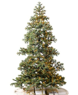 Елка Balsam Hill Yukon Spruce Slender 6'