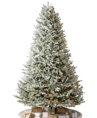 BH Frosted Balsam Fir|6.5|LEDC