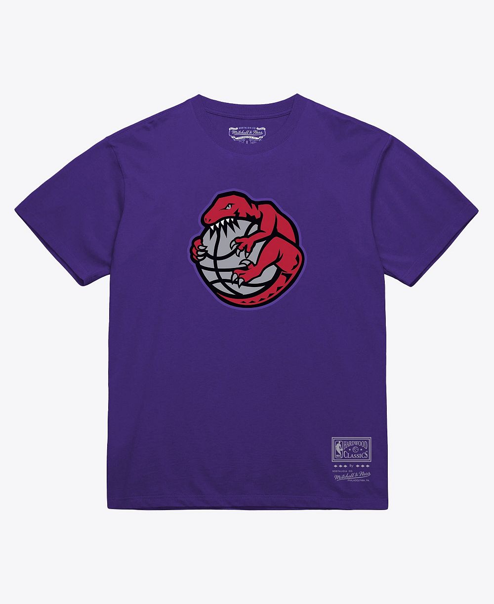 Футболка Mitchell & Ness Purple Toronto Raptors Hardwood Classics Arch для мужчин и женщин