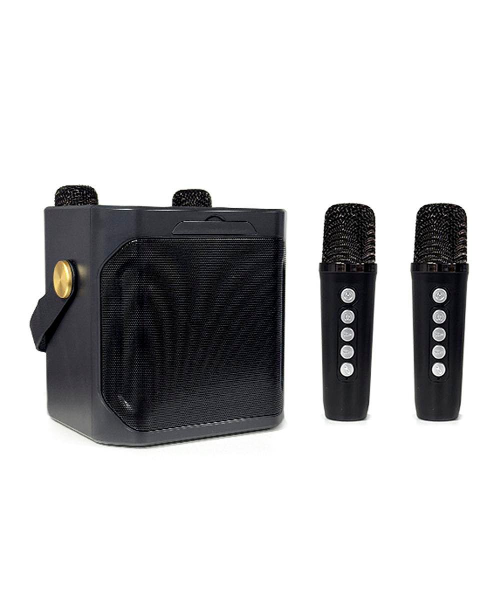 Беспроводной караоке-динамик Artudatech 10W Bluetooth 5.3 с двойным микрофоном