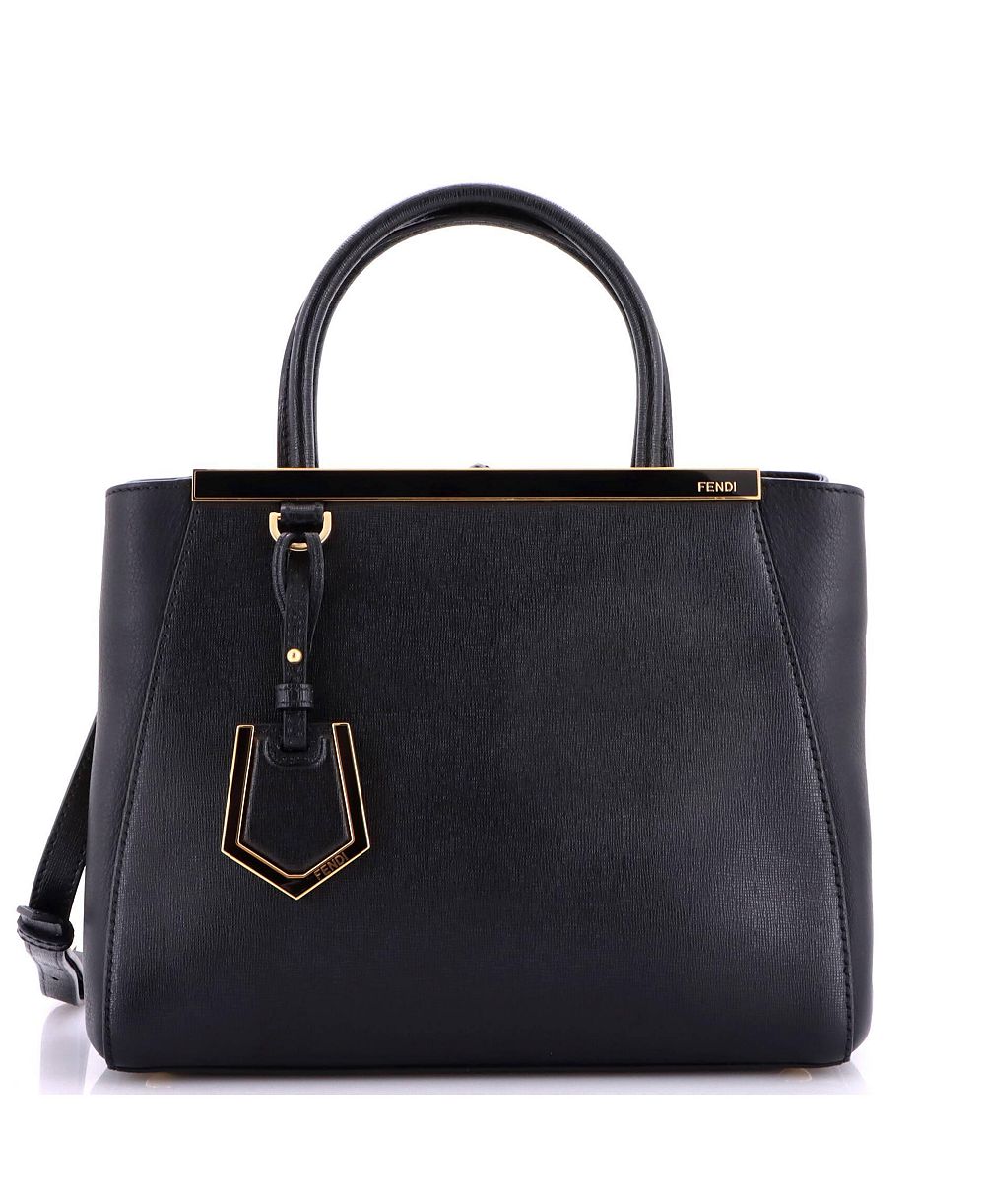 Pre-Owned Fendi Petite 2Jours Bag Leather