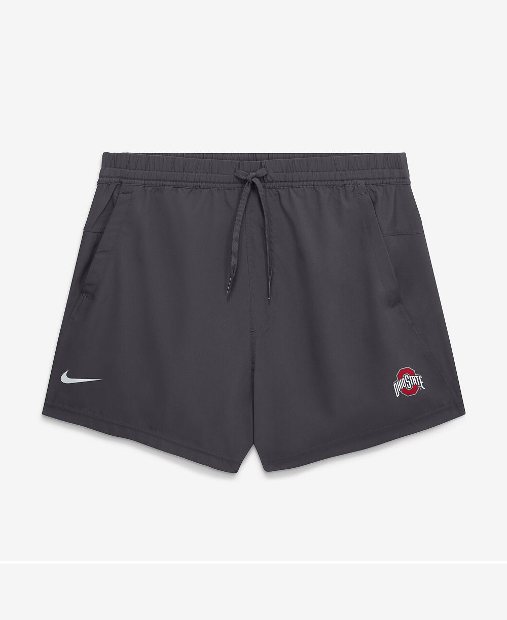 Nike Мужские шорты Ohio State Buckeyes Primary Logo Form