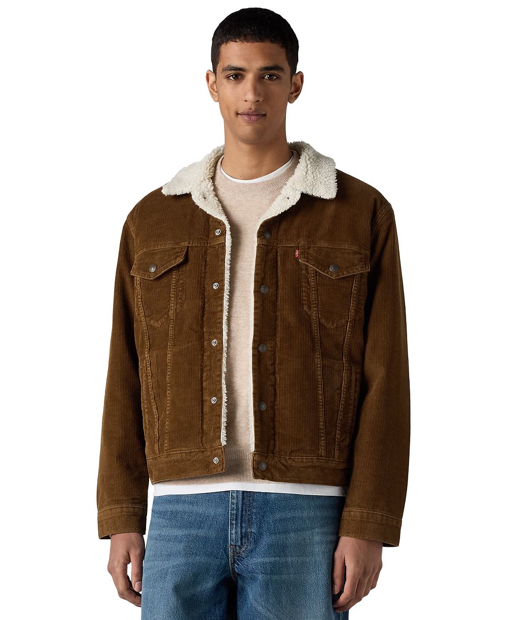 Мужская куртка Levi's® TruckerRegular Fit с подкладкой из шерпы и клетчатым принтом