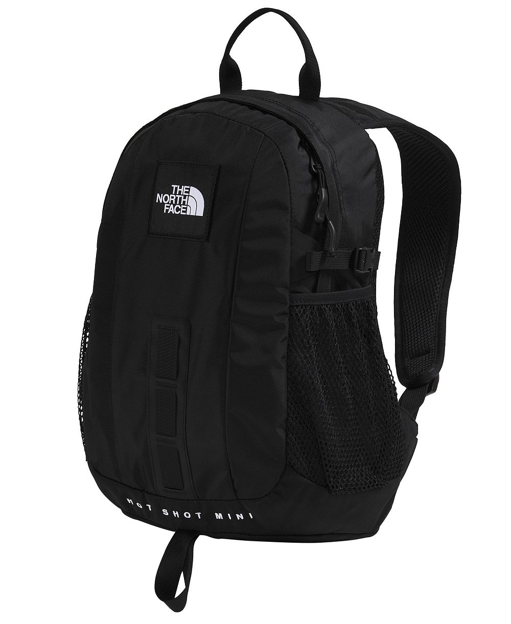 Мужской рюкзак The North Face Hot Shot Mini Daypack