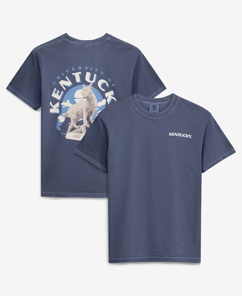 Image One Мужская футболка Navy Kentucky Wildcats Comfort Colors Team Statue