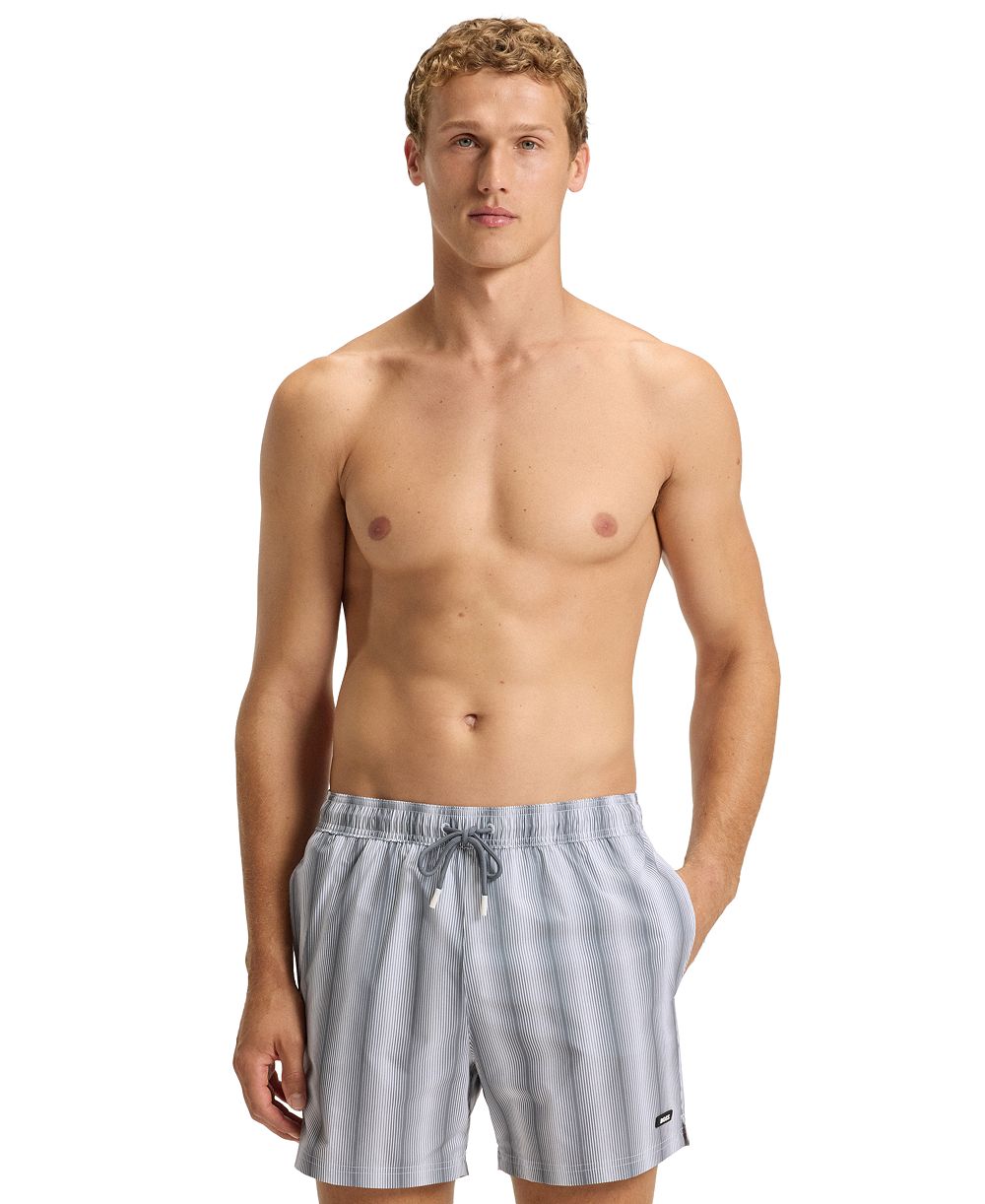 BOSS by Hugo Boss Men's 5" Flounder Stripe Print Swim Trunks