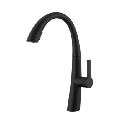 Single Handle Stainless Steel Pull-Out Kitchen Faucet with High-Arc Spout, 2-Mode Sprayer and 360degree(s) Rotation