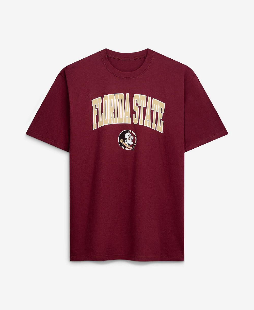 Champion мужская футболка Big & Tall Florida State Seminoles с надписью Team Arch Over Wordmark цвета гарнет